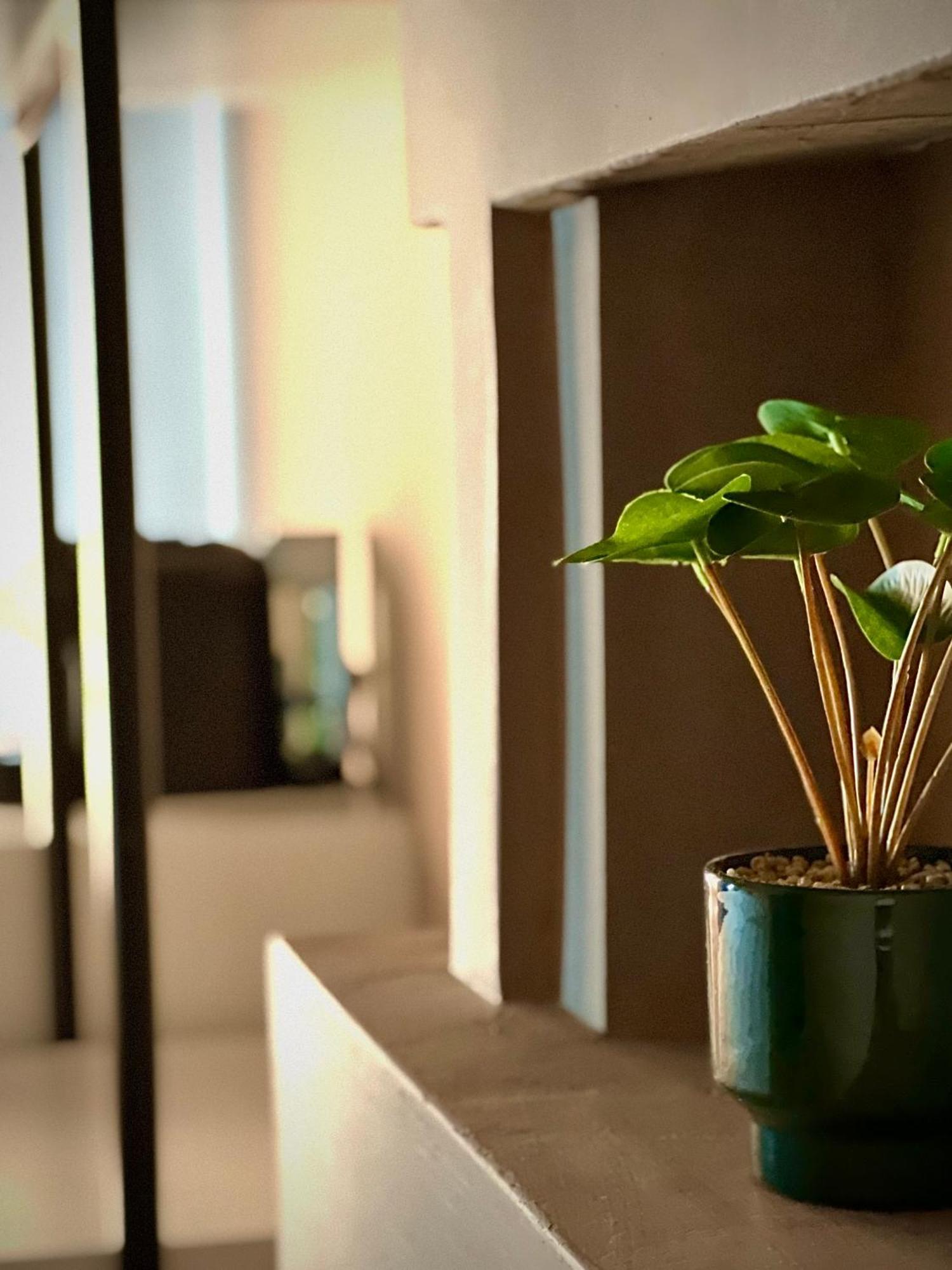 Rex Hotel Boutique Tirana Kültér fotó